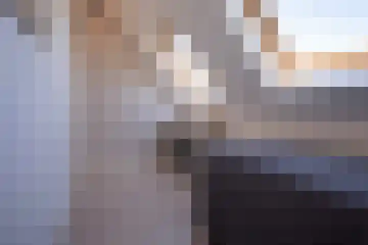Alverno 16 Oudenbosch thumbnail 49