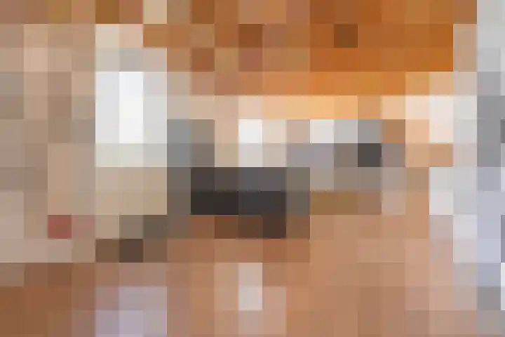 Alverno 16 Oudenbosch thumbnail 54