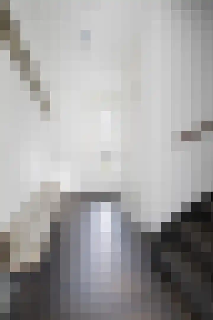 Alverno 20 Oudenbosch thumbnail 10