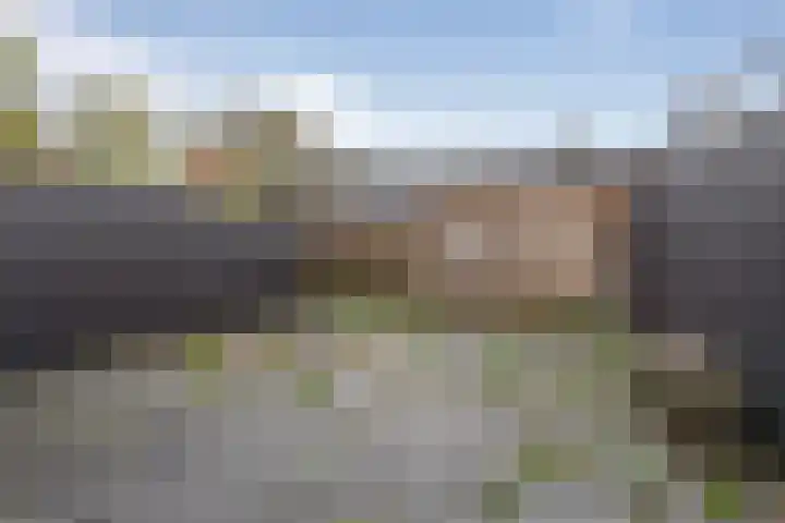 Alverno 20 Oudenbosch thumbnail 29