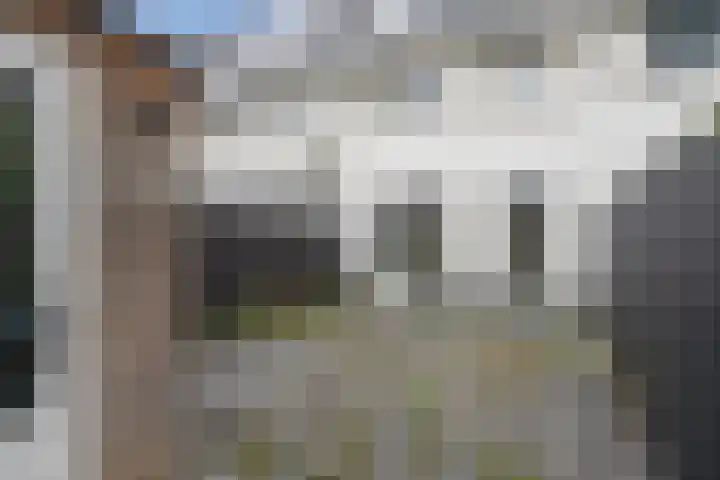 Alverno 20 Oudenbosch thumbnail 30