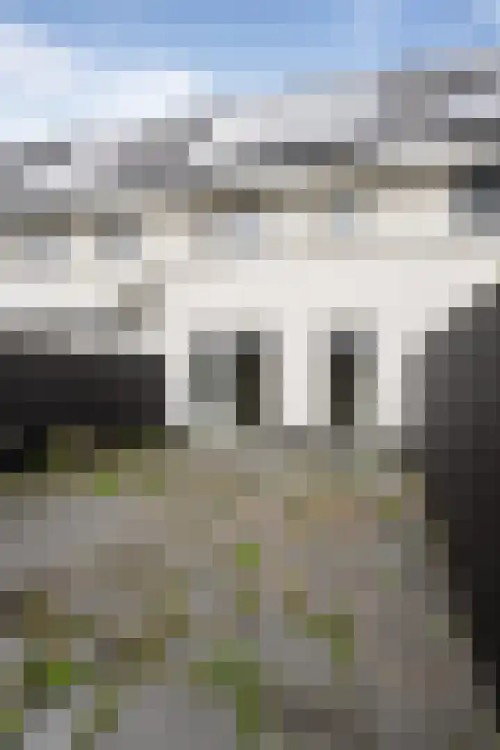 Alverno 20 Oudenbosch thumbnail 31