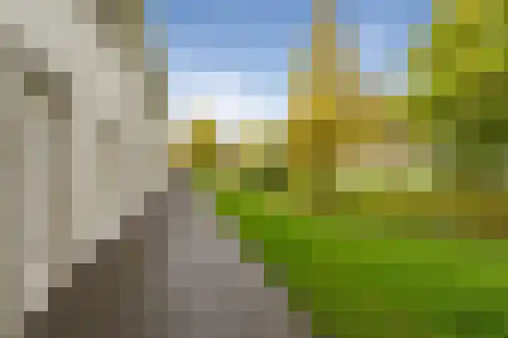 Alverno 20 Oudenbosch thumbnail 33