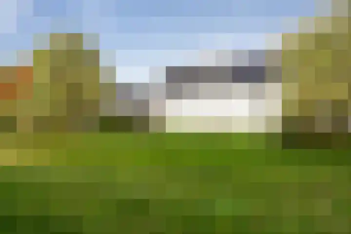 Alverno 20 Oudenbosch thumbnail 34