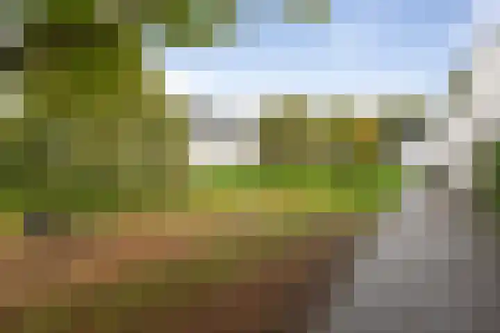 Alverno 20 Oudenbosch thumbnail 35