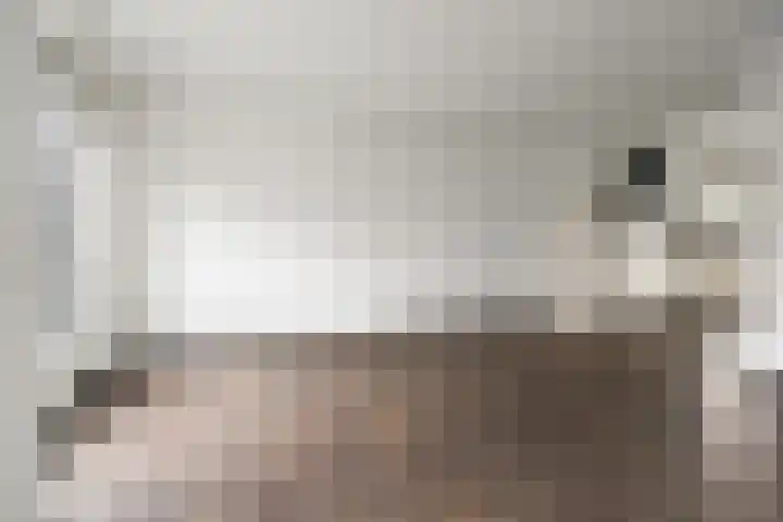 Alverno 20 Oudenbosch thumbnail 5