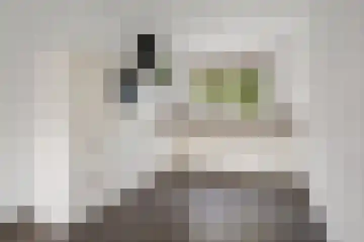 Alverno 20 Oudenbosch thumbnail 7