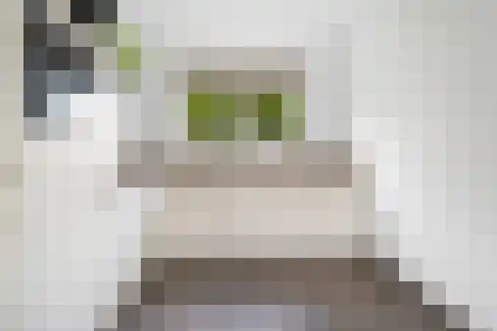 Alverno 20 Oudenbosch thumbnail 8