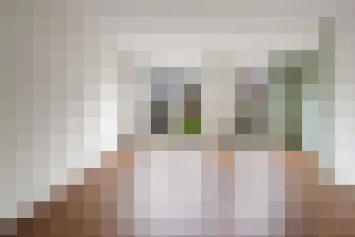 Alverno 26 Oudenbosch thumbnail 11