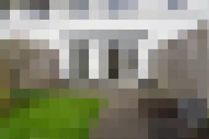 Alverno 26 Oudenbosch thumbnail 43