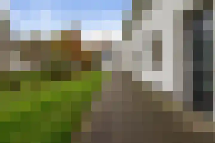 Alverno 26 Oudenbosch thumbnail 9