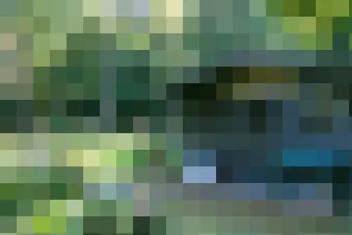 Alverschotenseweg 26 Hoog Soeren thumbnail 4