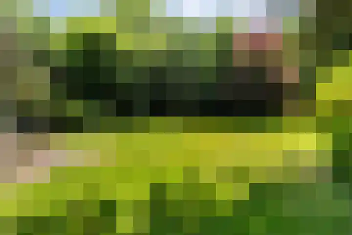Alverschotenseweg 26 Hoog Soeren thumbnail 5