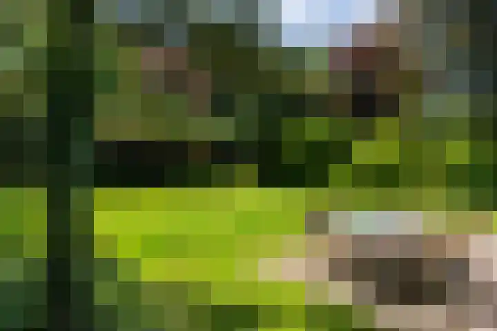 Alverschotenseweg 26 Hoog Soeren thumbnail 6