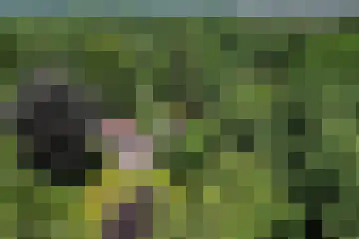 Alverschotenseweg 26 Hoog Soeren thumbnail 7