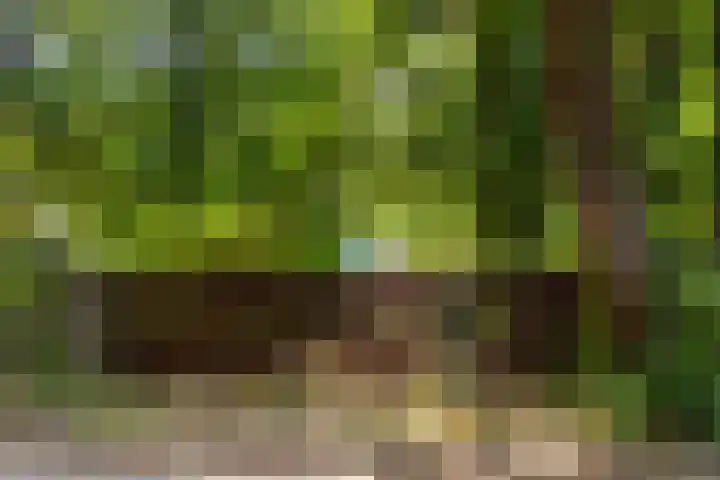 Alverschotenseweg 26 Hoog Soeren thumbnail 8