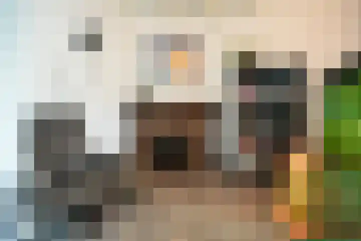 Alverstraat 7 Ooij thumbnail 11