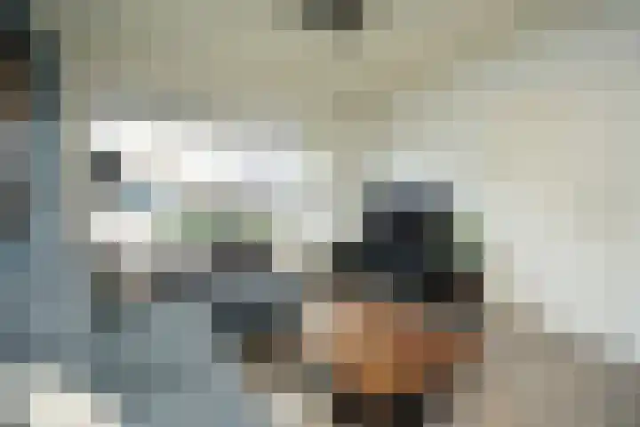 Alverstraat 7 Ooij thumbnail 8