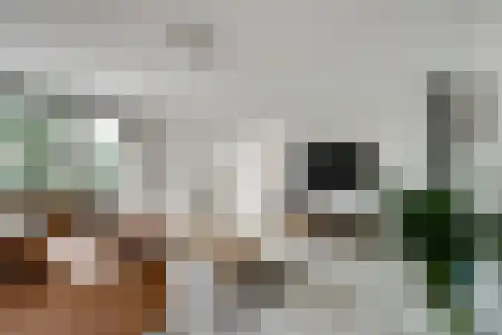 Alys Ambacht 7 Reeuwijk thumbnail 11