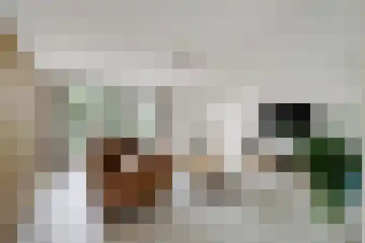 Alys Ambacht 7 Reeuwijk thumbnail 12