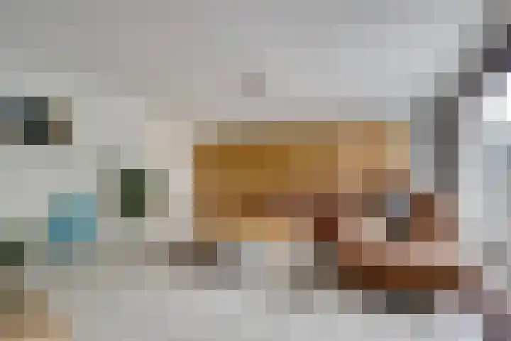 Alys Ambacht 7 Reeuwijk thumbnail 13