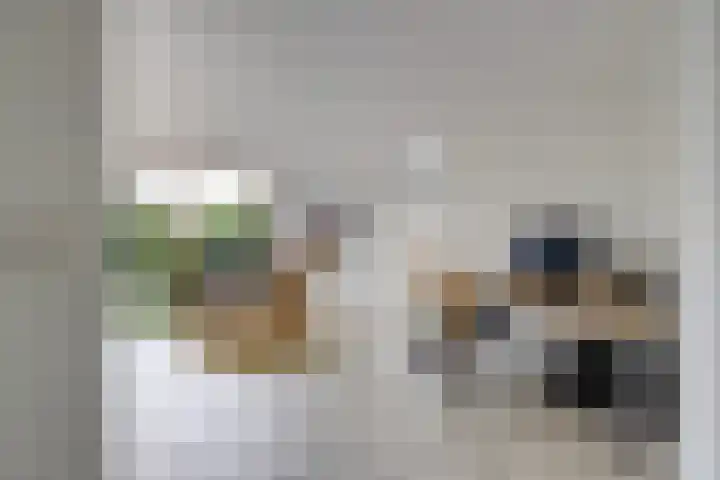 Alys Ambacht 7 Reeuwijk thumbnail 17