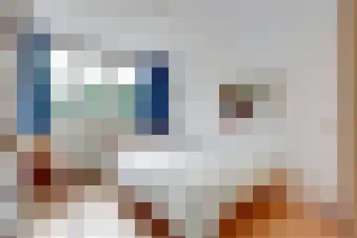 Alys Ambacht 7 Reeuwijk thumbnail 23