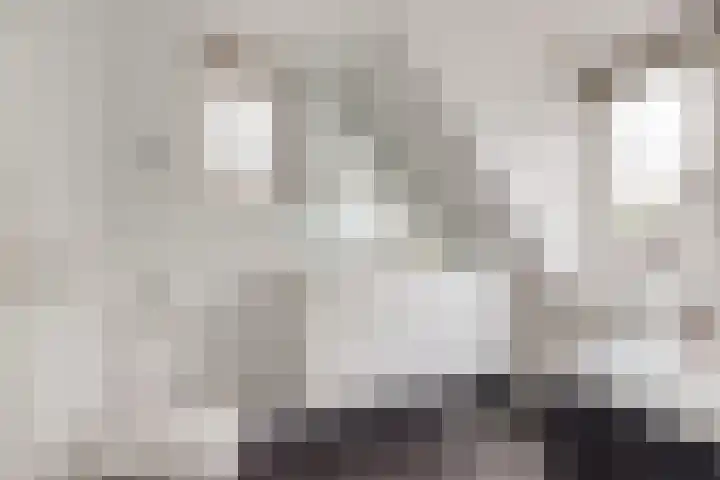 Alys Ambacht 7 Reeuwijk thumbnail 25