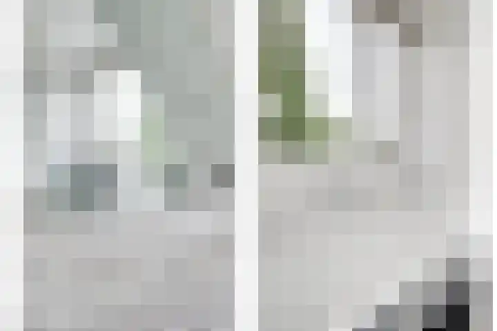 Alys Ambacht 7 Reeuwijk thumbnail 27