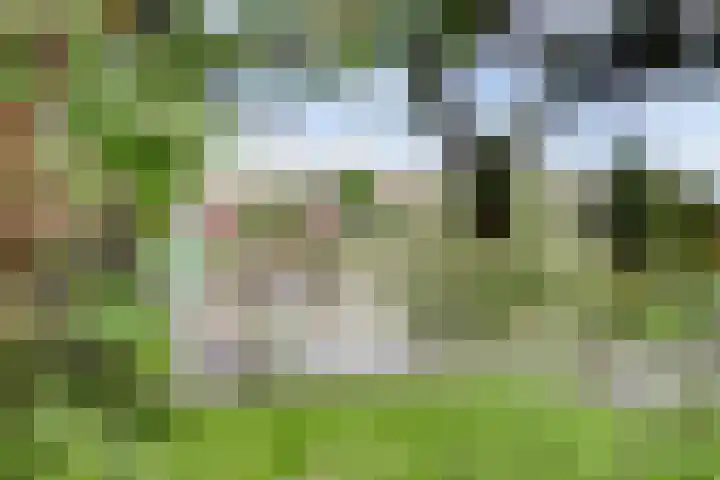 Alys Ambacht 7 Reeuwijk thumbnail 32