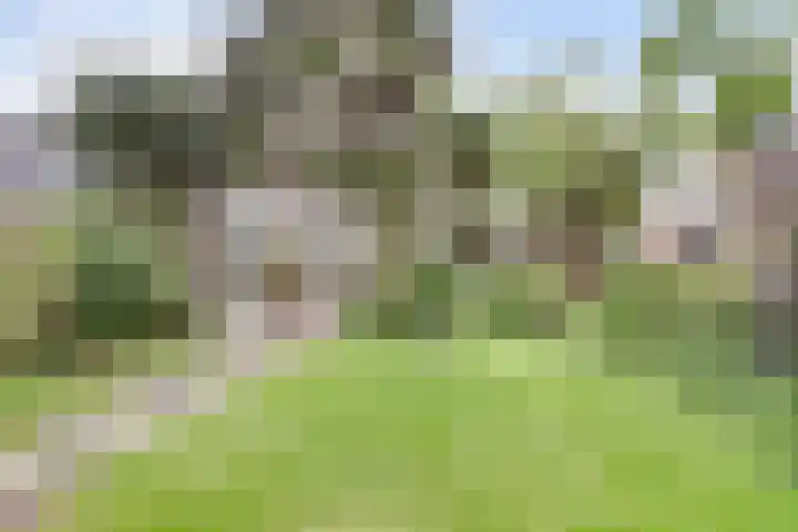 Alys Ambacht 7 Reeuwijk thumbnail 33