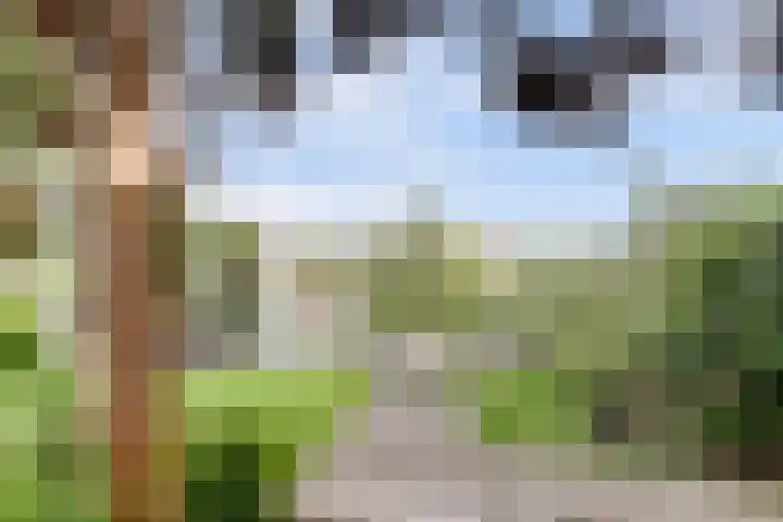 Alys Ambacht 7 Reeuwijk thumbnail 34