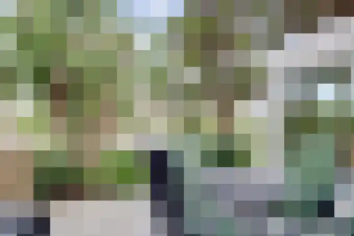 Alys Ambacht 7 Reeuwijk thumbnail 40