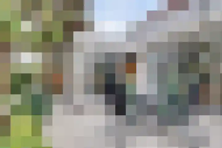 Alys Ambacht 7 Reeuwijk thumbnail 41