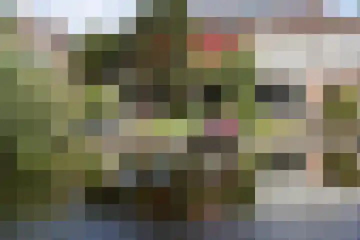 Alys Ambacht 7 Reeuwijk thumbnail 47