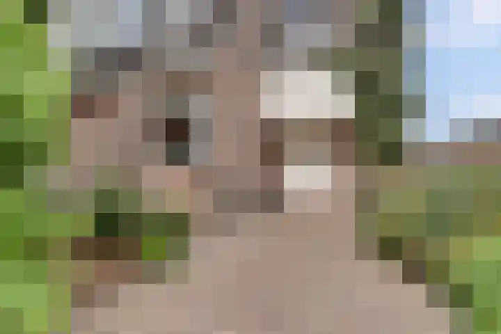 Alys Ambacht 7 Reeuwijk thumbnail 5
