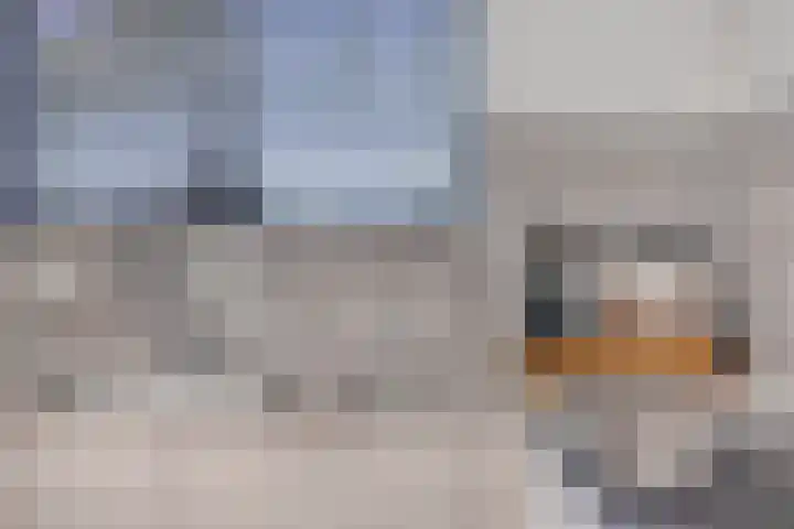 Alzettehof 1 Veldhoven thumbnail 17