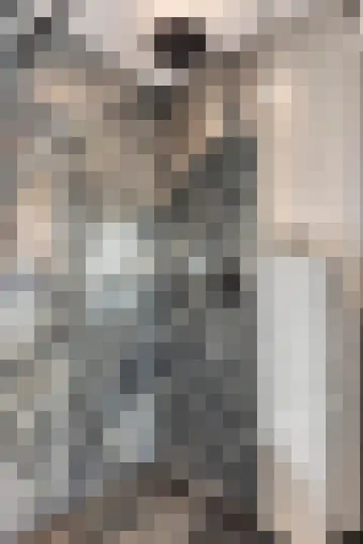 Alzettehof 1 Veldhoven thumbnail 24