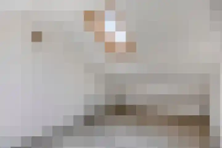 Alzettehof 1 Veldhoven thumbnail 31