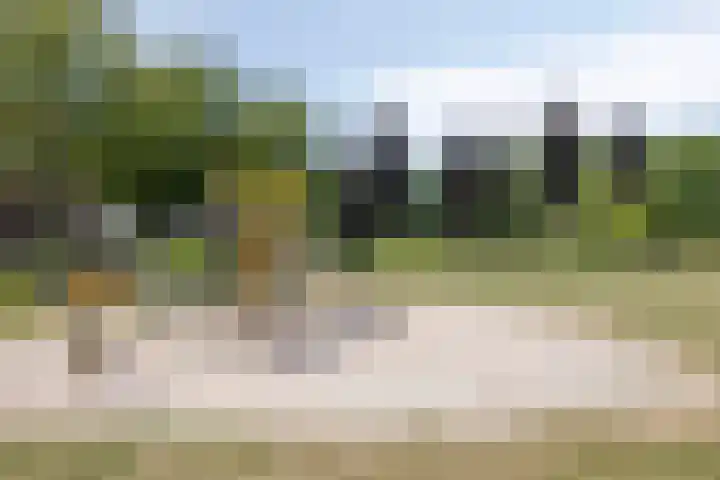 Alzettehof 1 Veldhoven thumbnail 39