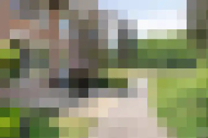 Alzettehof 1 Veldhoven thumbnail 4