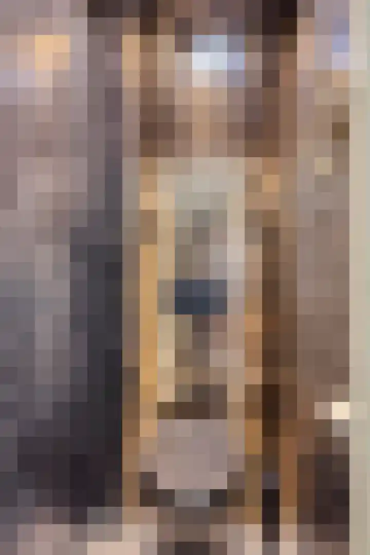 Alzettehof 1 Veldhoven thumbnail 7