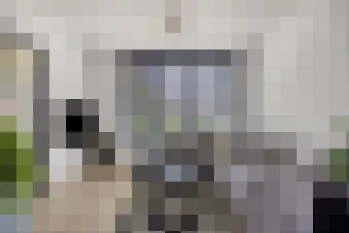 Alzettehof 1 Veldhoven thumbnail 8