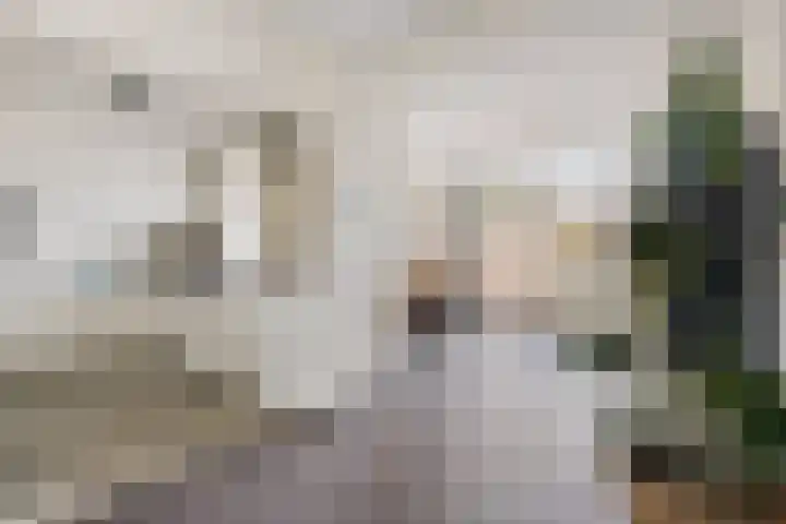 Alzettehof 20 Veldhoven thumbnail 12