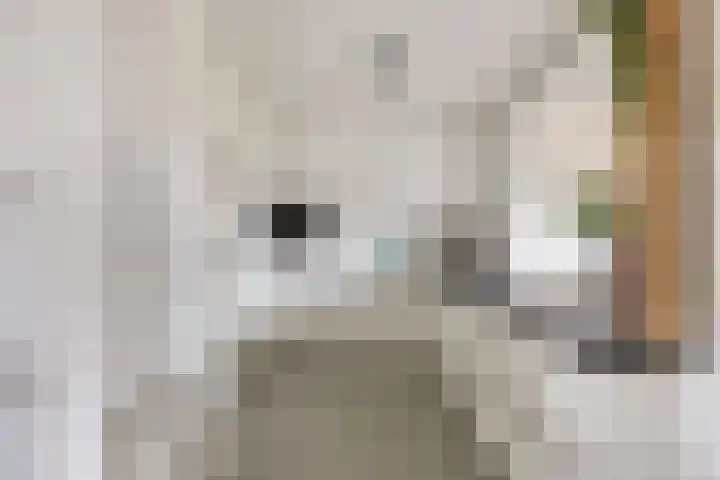 Alzettehof 20 Veldhoven thumbnail 13