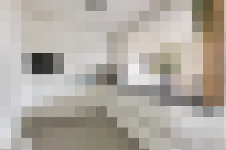 Alzettehof 20 Veldhoven thumbnail 14