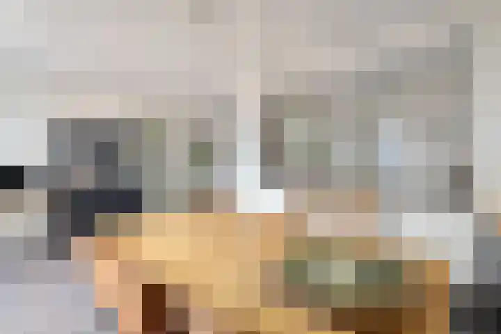 Alzettehof 20 Veldhoven thumbnail 17
