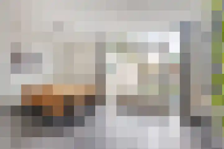 Alzettehof 20 Veldhoven thumbnail 18