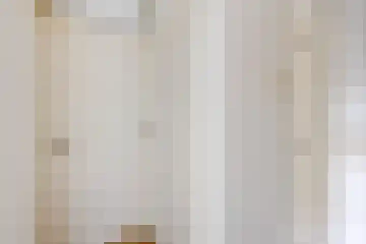 Alzettehof 20 Veldhoven thumbnail 21