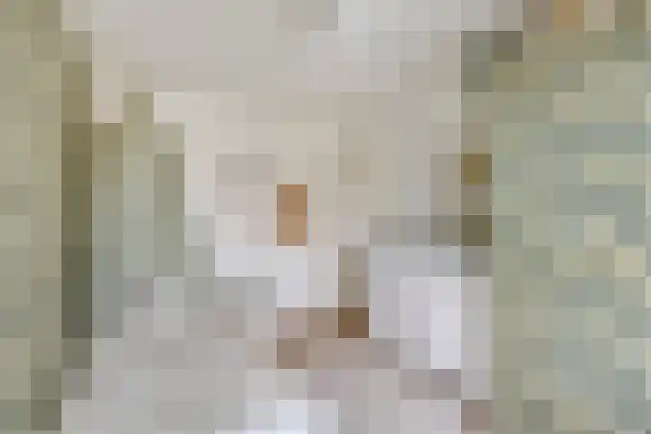 Alzettehof 20 Veldhoven thumbnail 25